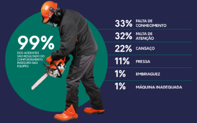 A causa raiz dos acidentes no manejo florestal semimecanizado