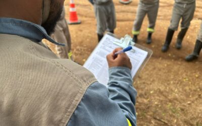 Roupa Anticorte no Manejo de Árvores: Quando Usar