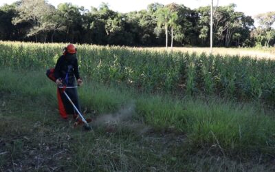 Segurança na Aplicação de Herbicidas em Florestas